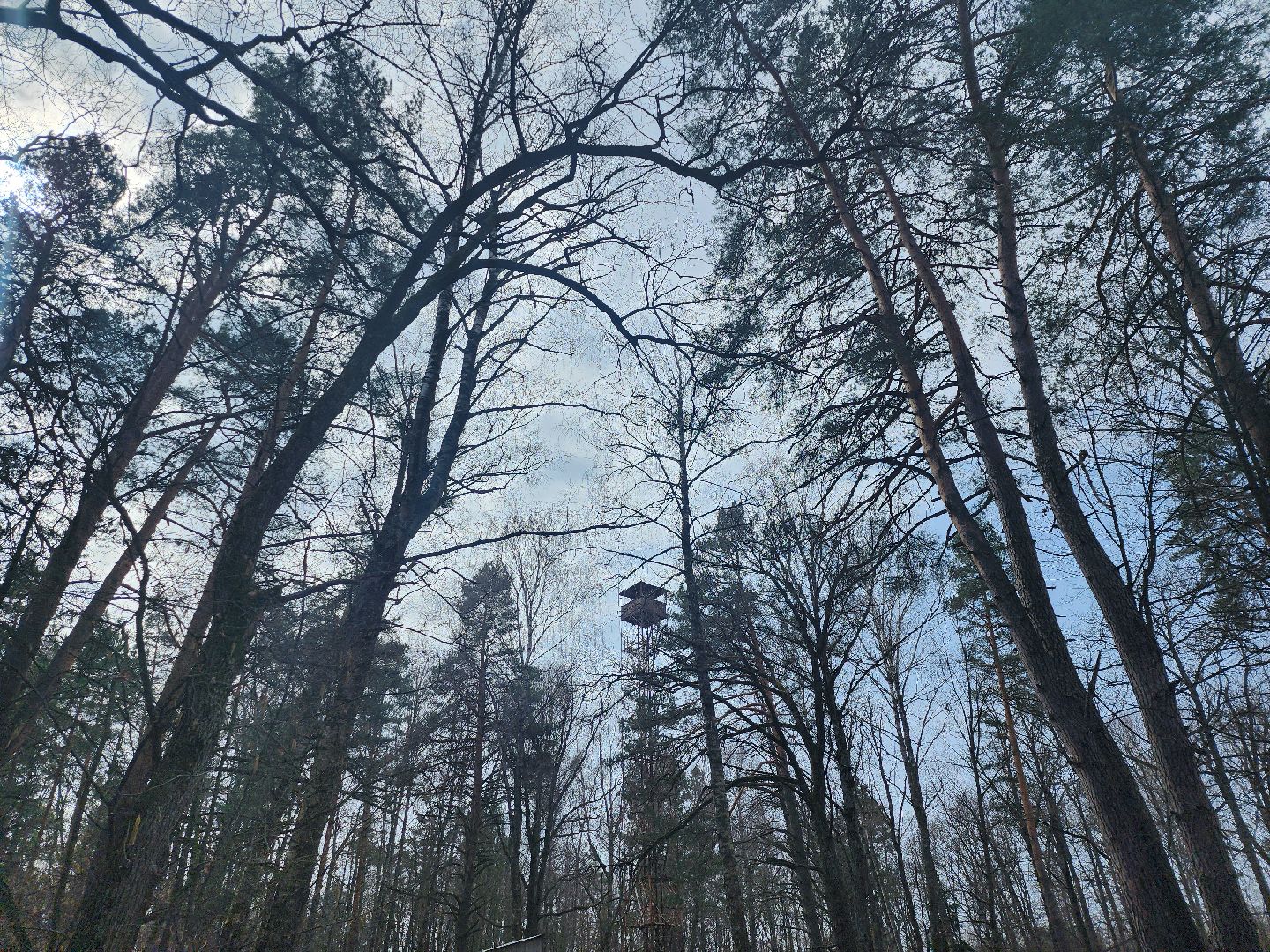 серпухов, подмосковье, русский лес, противопожарная безопасность,