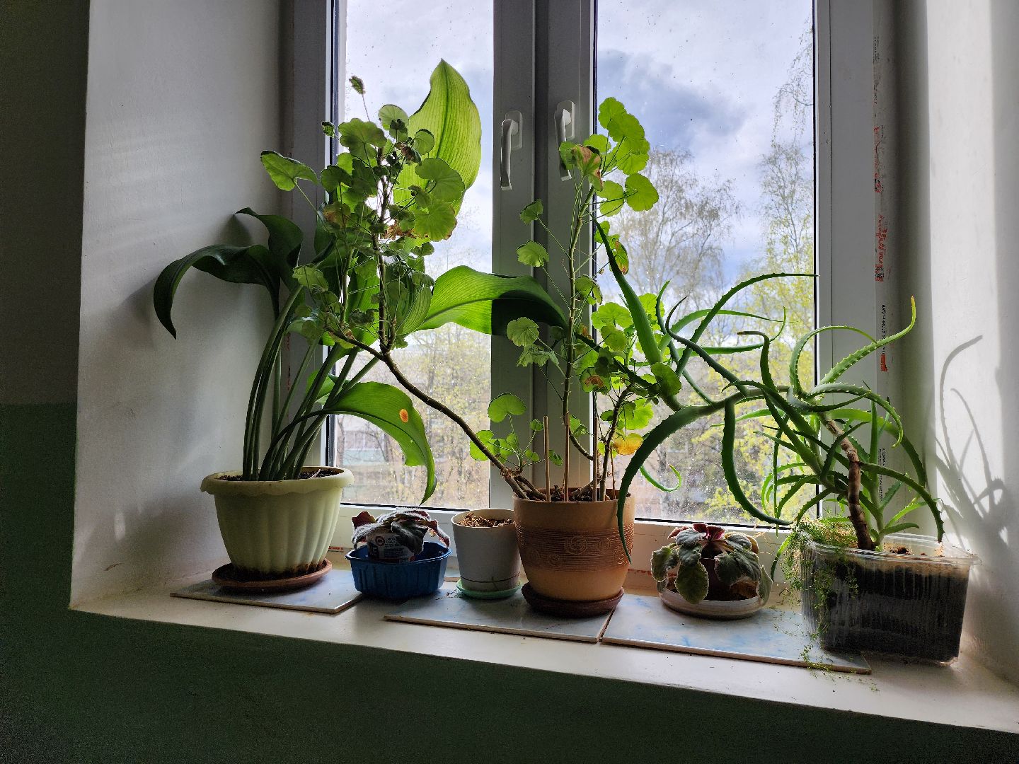 серпухов, подмосковье, грунтовые воды, чп,