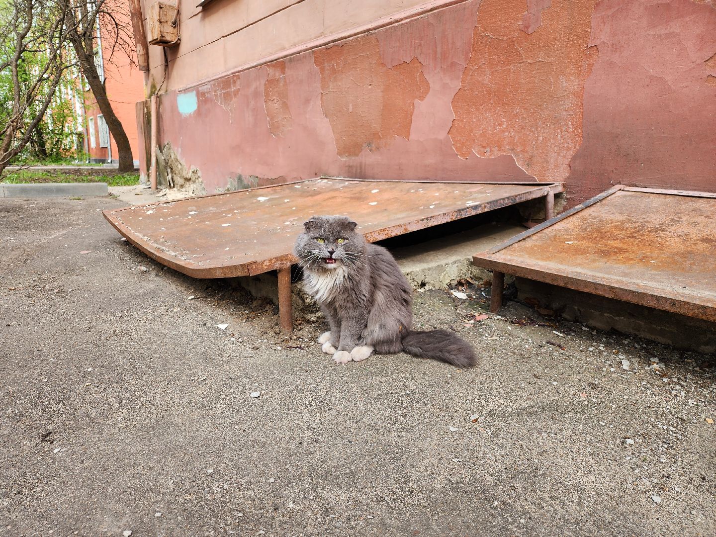 серпухов, подмосковье, грунтовые воды, чп,