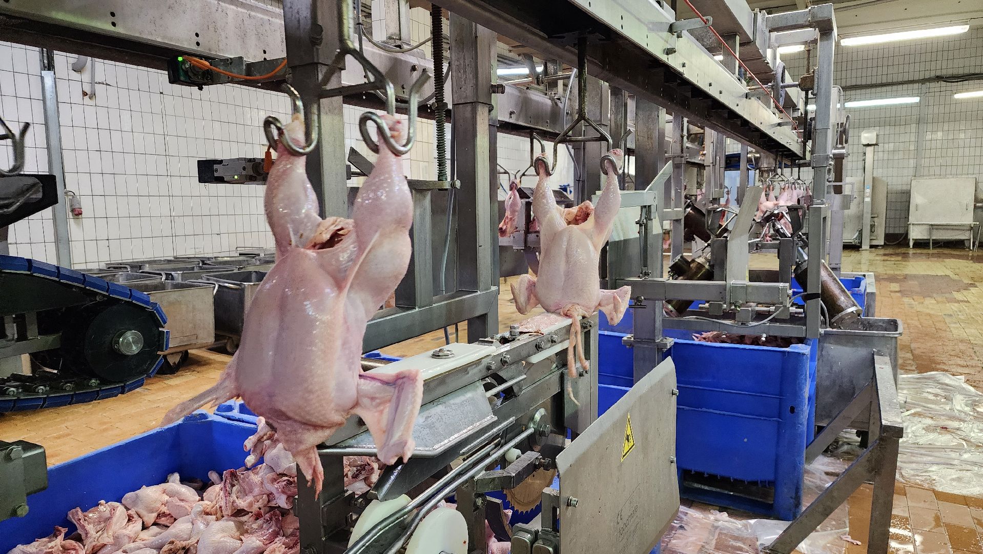 экономика, предприятия, нацпроект Производительность труда, бережливое производство, Лосино-Петровский,