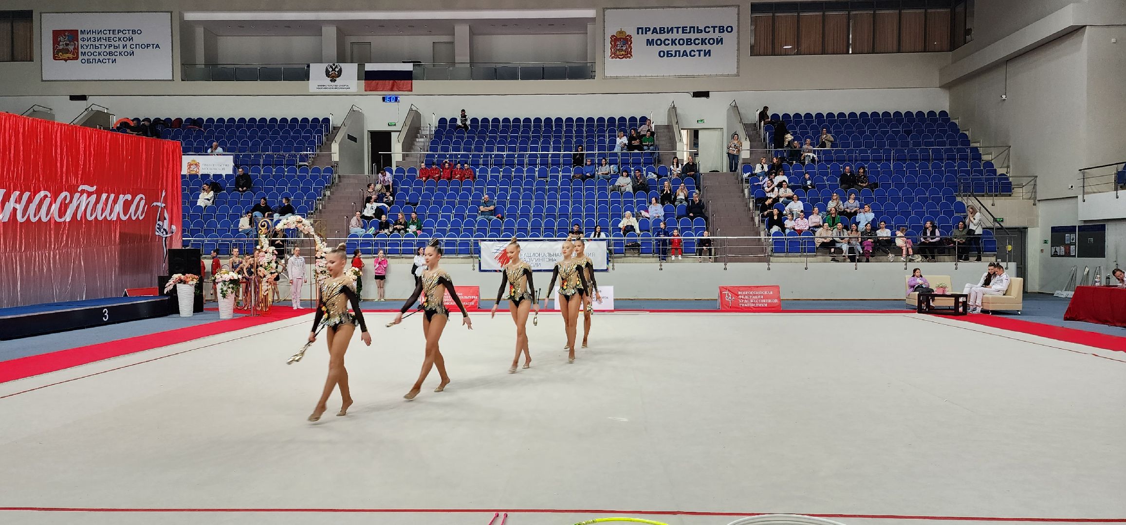 раменское, спорт, всероссийские соревнования по художественной гимнастике, ДС Борисоглебский,