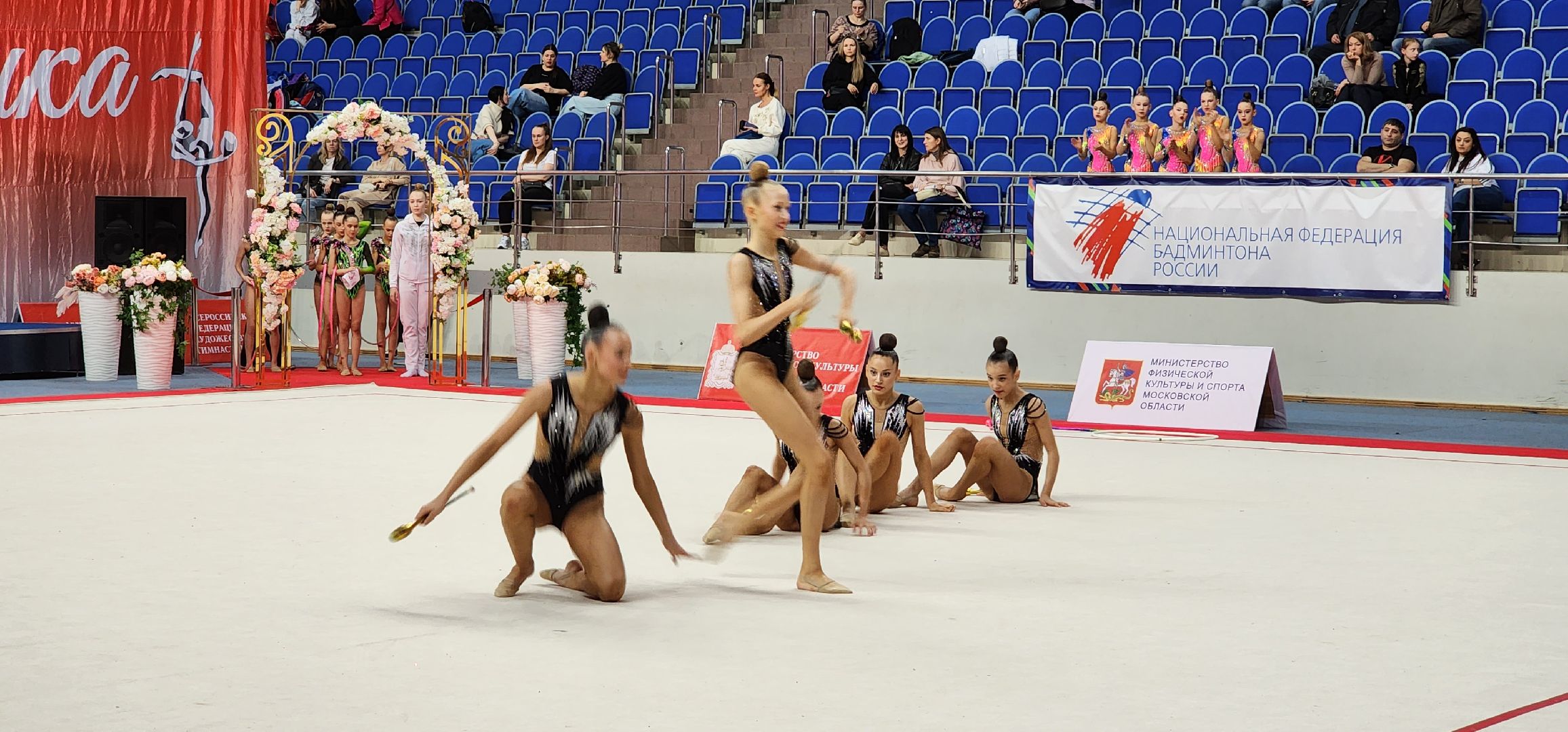 раменское, спорт, всероссийские соревнования по художественной гимнастике, ДС Борисоглебский,