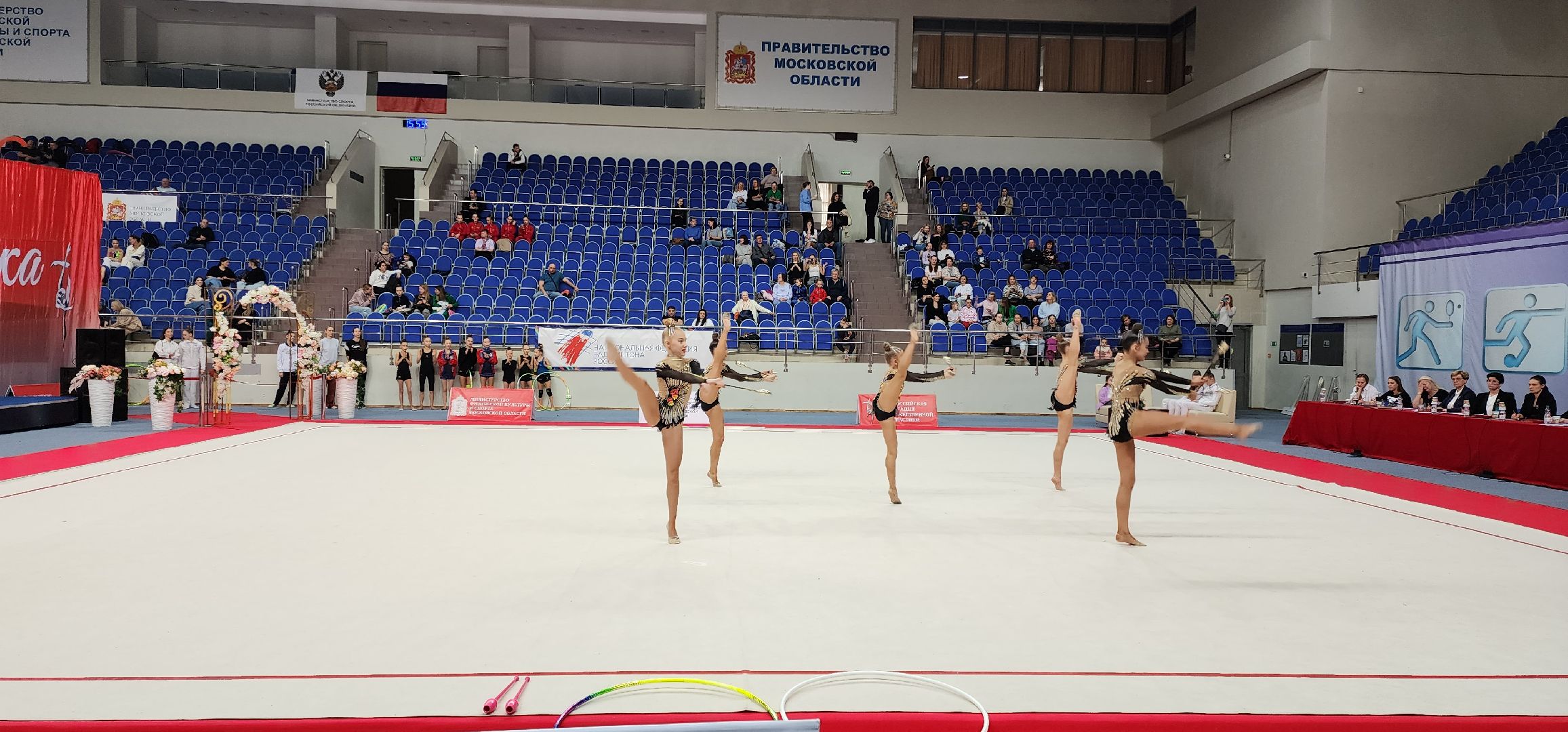 раменское, спорт, всероссийские соревнования по художественной гимнастике, ДС Борисоглебский,