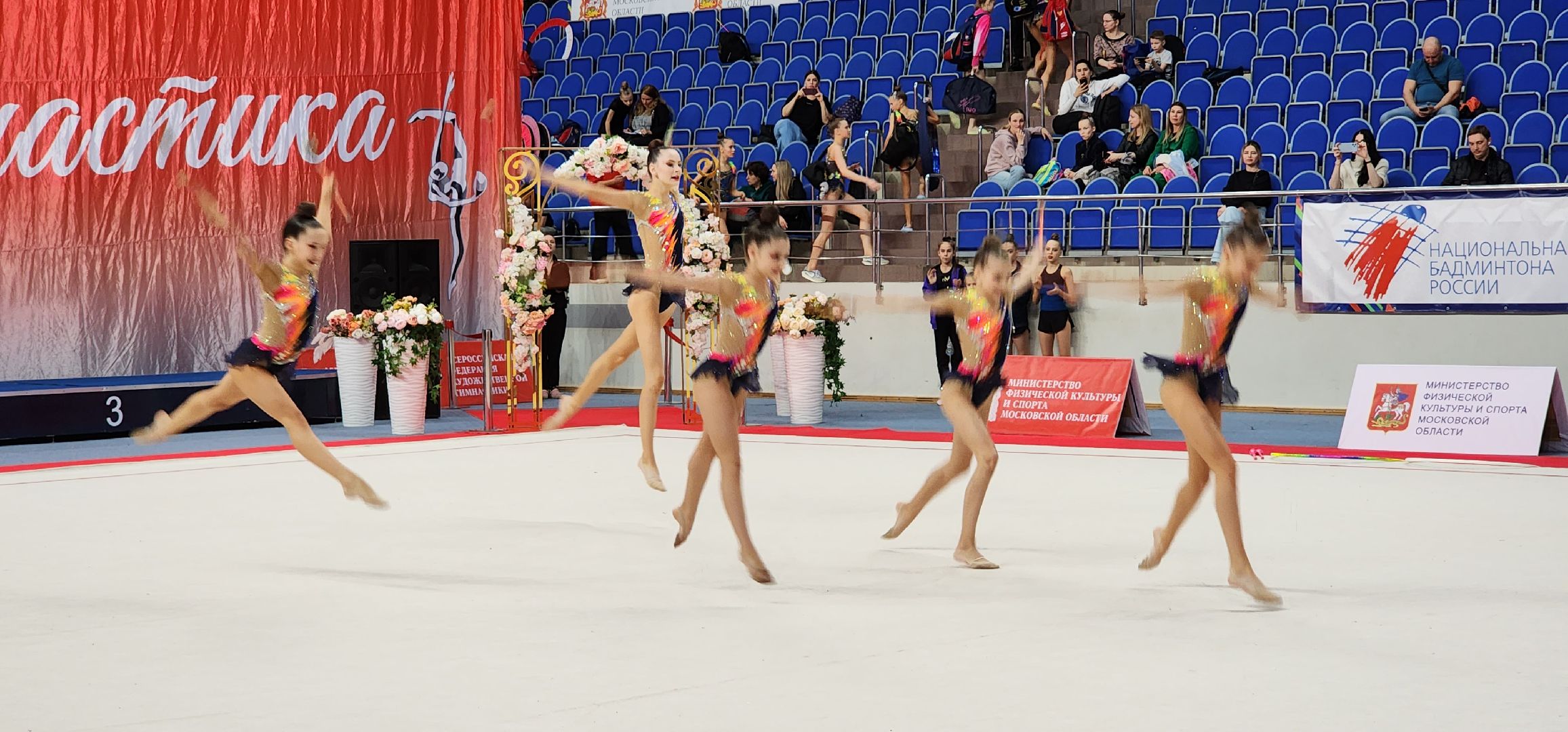 раменское, спорт, всероссийские соревнования по художественной гимнастике, ДС Борисоглебский,