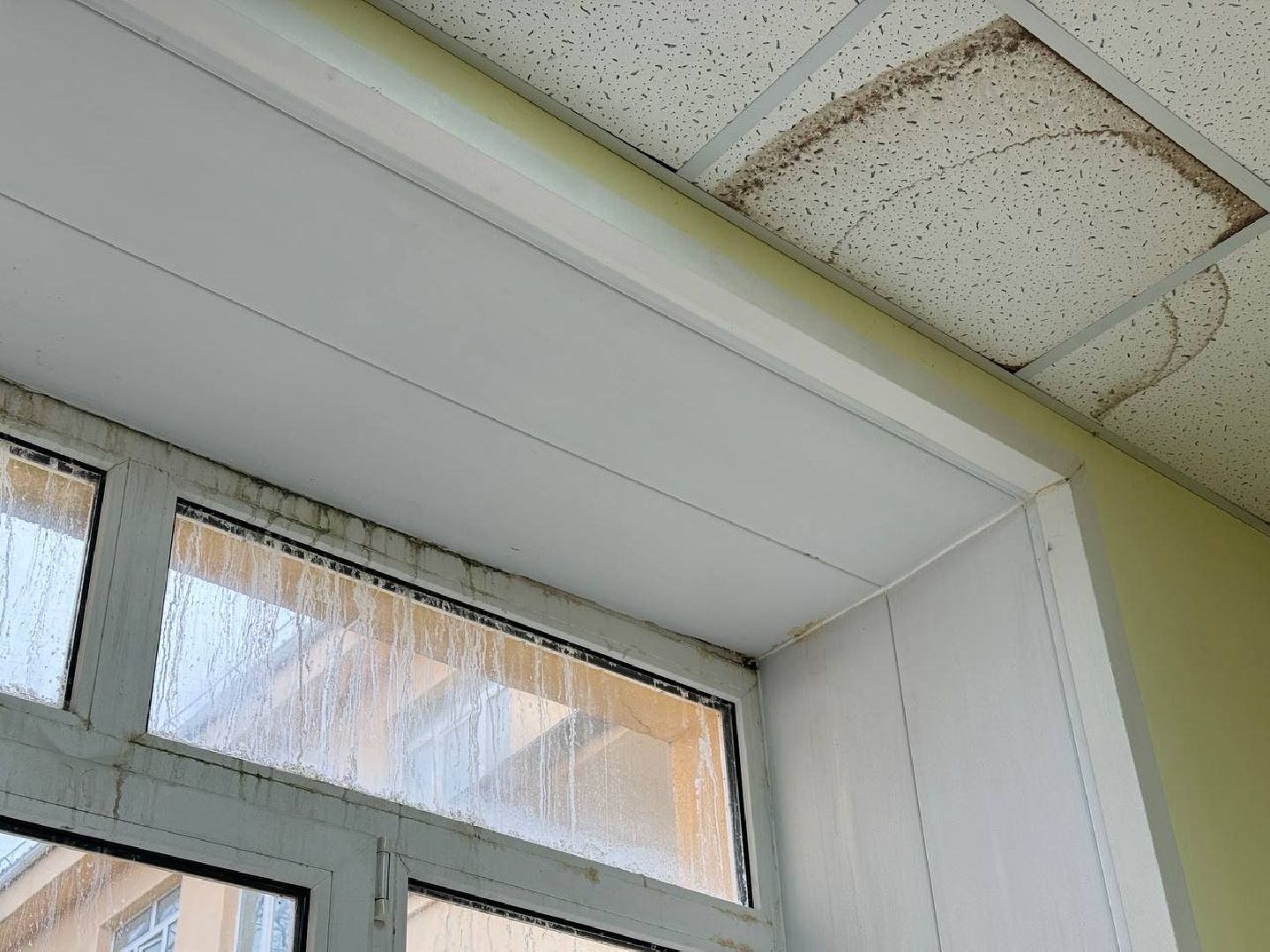 капитальный ремонт школы, родительский контроль, новая школа, восход,