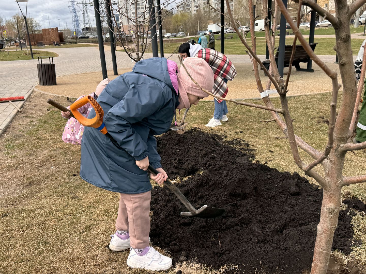 Одинцово, Благоустройство, Фруктовый сад,