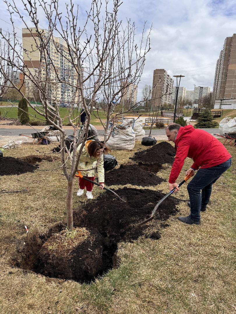 Одинцово, Благоустройство, Фруктовый сад,