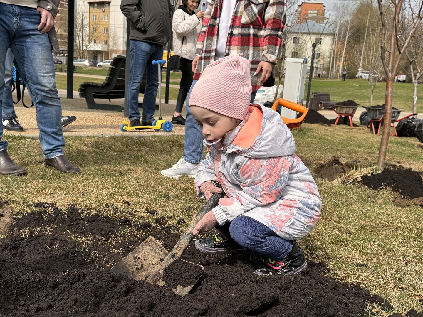 Одинцово, Благоустройство, Фруктовый сад,