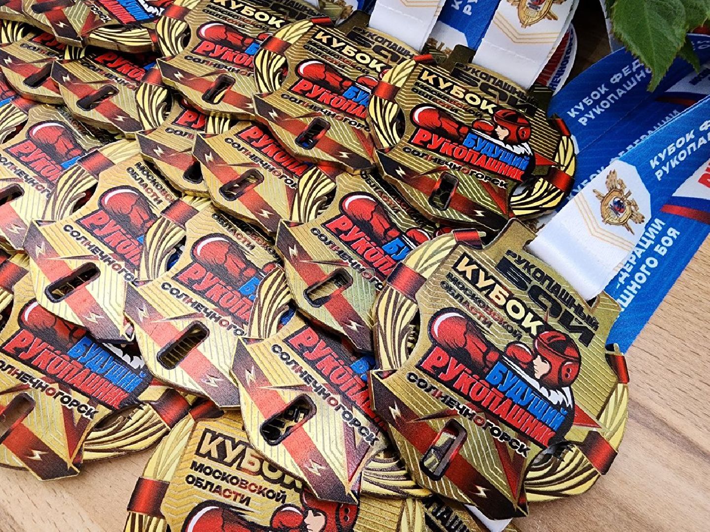 Солнечногорск, рукопашный бой,Финал кубка, спортсмены, тренер,