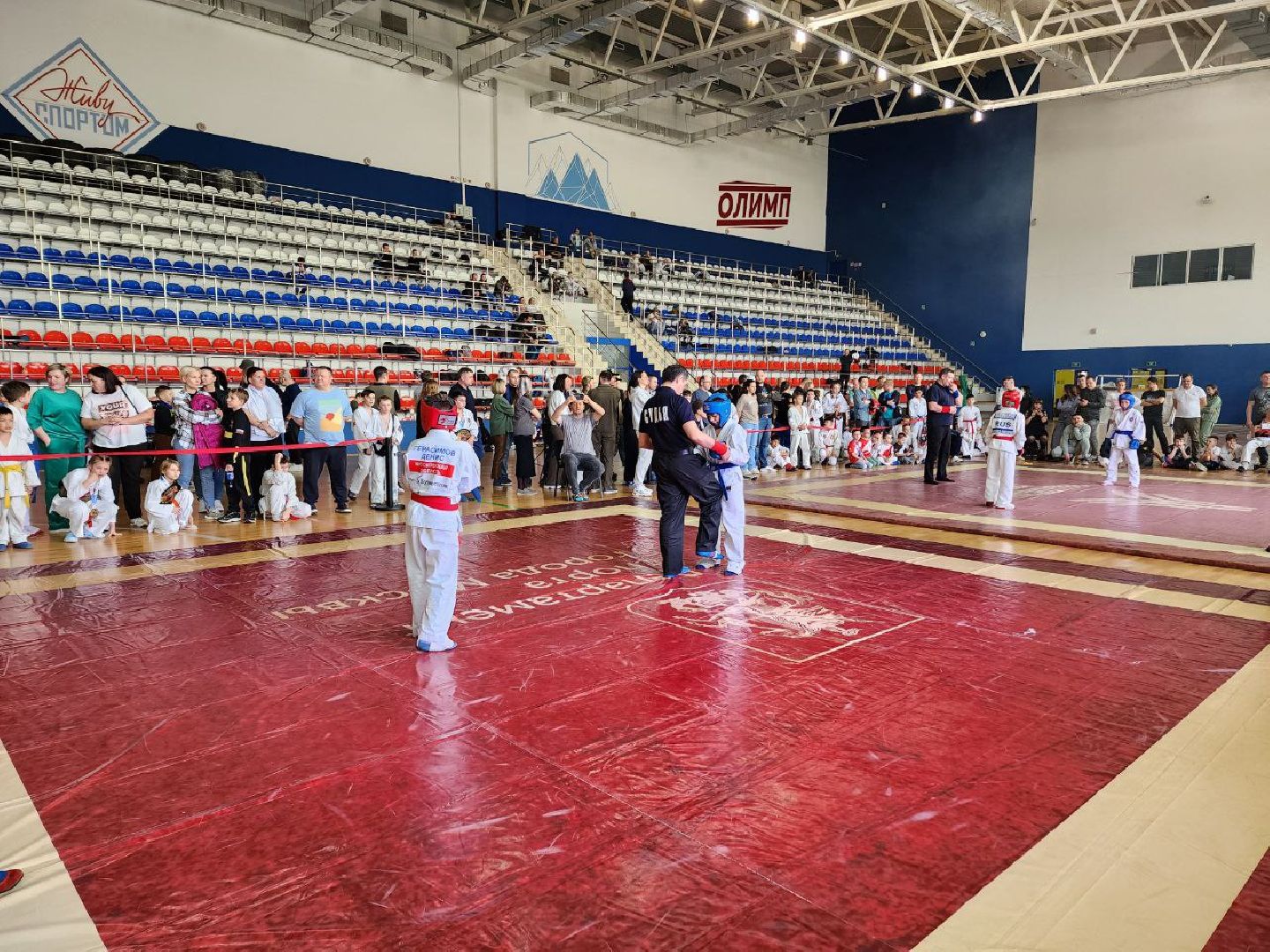 Солнечногорск, рукопашный бой,Финал кубка, спортсмены, тренер,