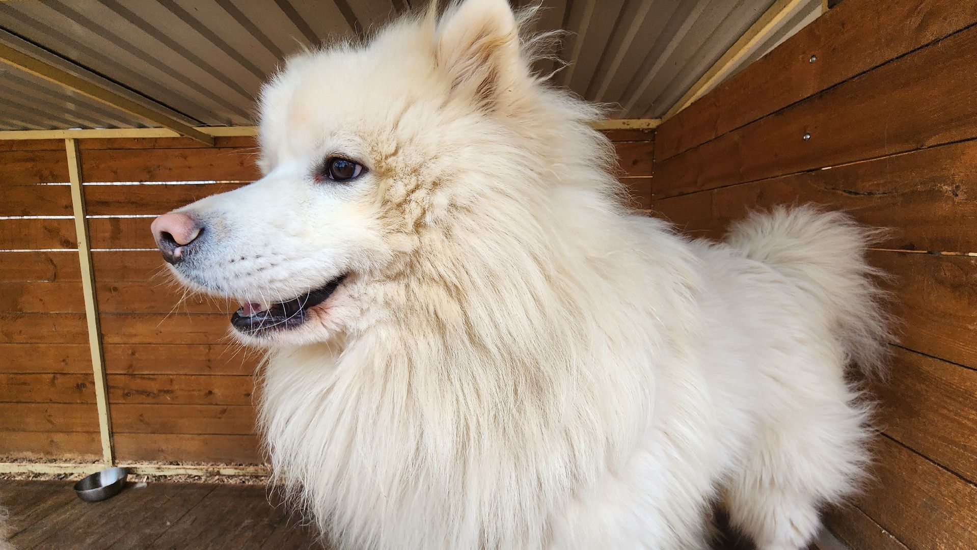 Точки притяжения, Культурный код, Министерство культуры, Подмосковье, туризм, туризм в подмосковье, Домодедово, Эко ферма, Гав гав парк, Парк Елочки, Культура,