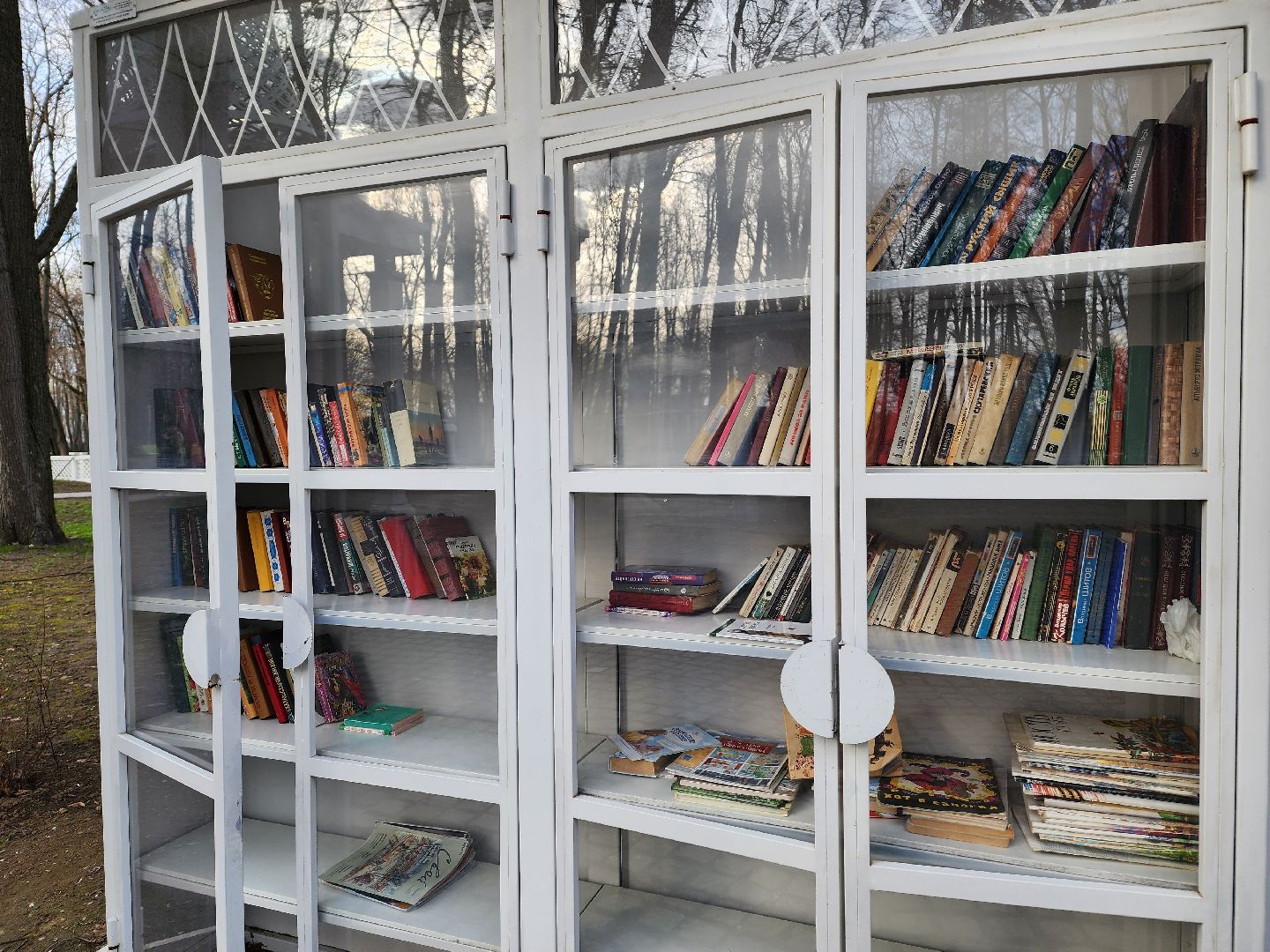 воскресенск, парк кривякино, буккроссинг, книги,