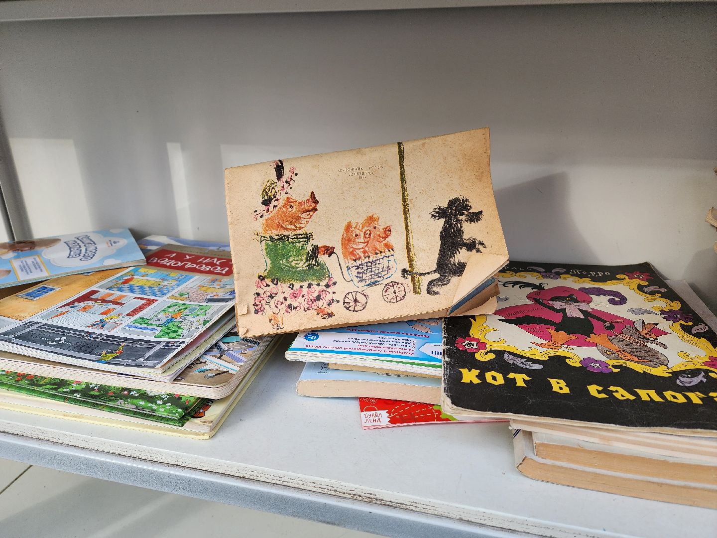 воскресенск, парк кривякино, буккроссинг, книги,