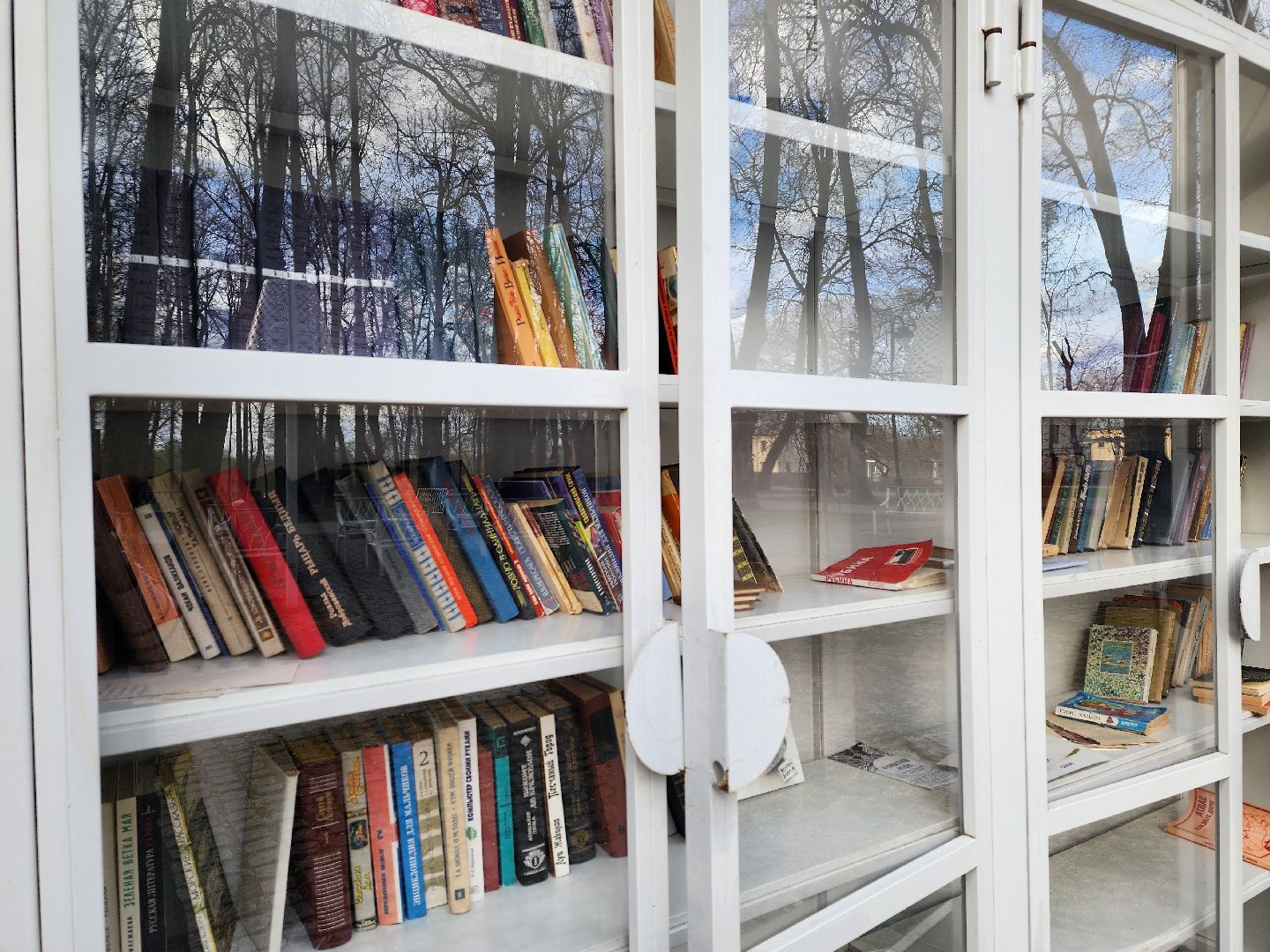 воскресенск, парк кривякино, буккроссинг, книги,