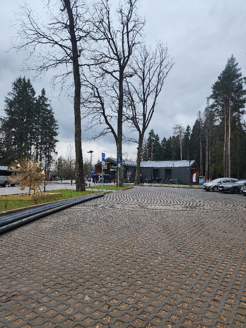 театр фэст, реконструкция,