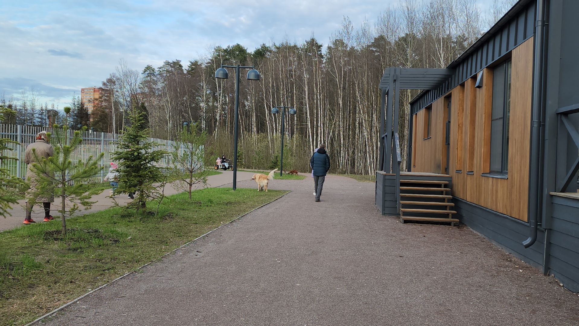 собаки, Чистота, лобня,