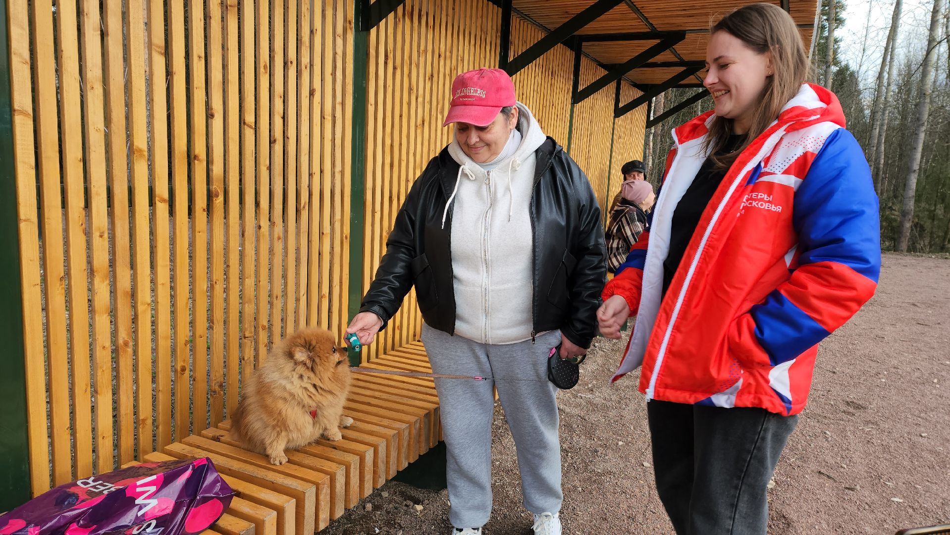 собаки, Чистота, лобня,