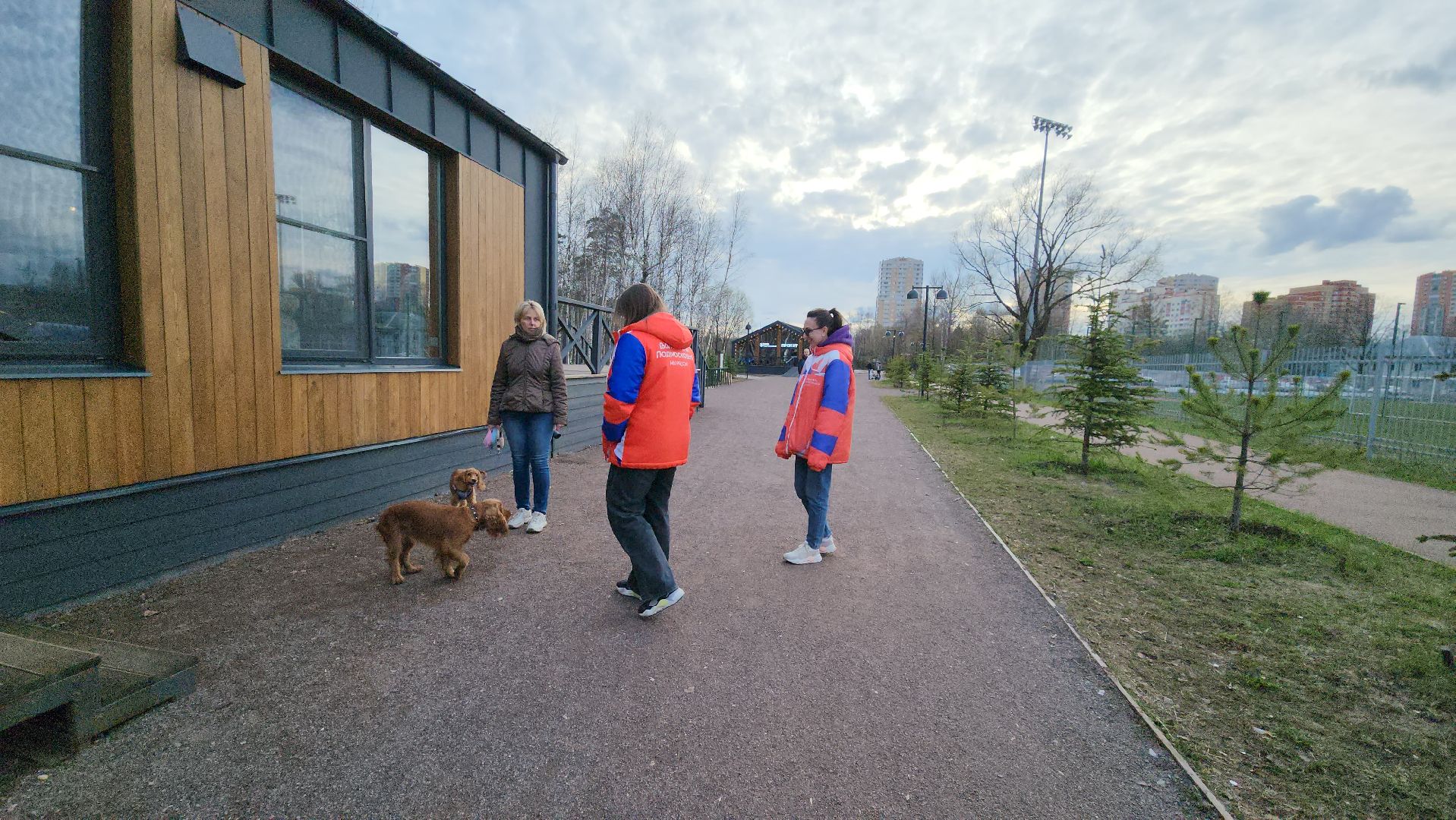 собаки, Чистота, лобня,