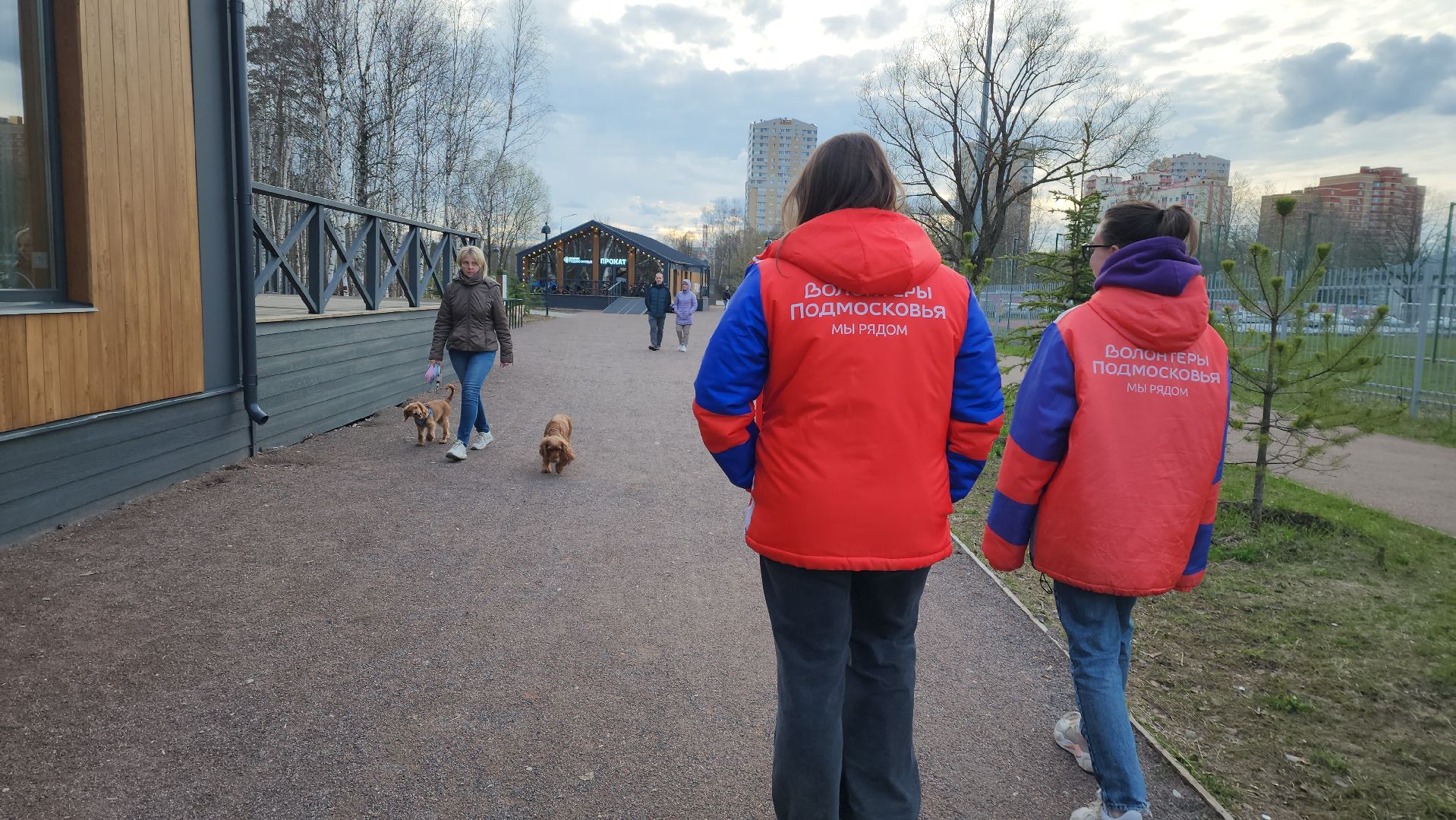 собаки, Чистота, лобня,