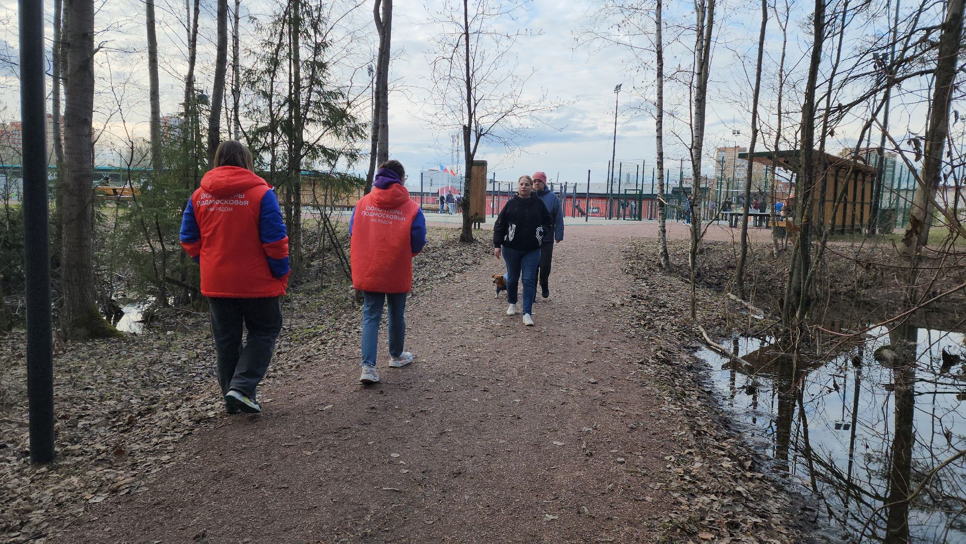 собаки, Чистота, лобня,