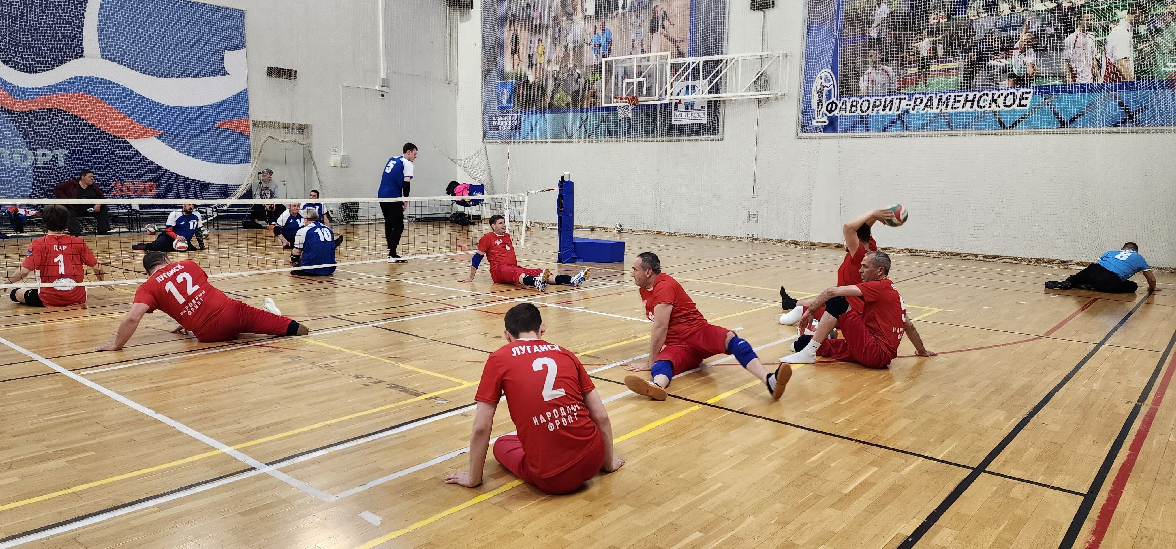 раменское, спорт, кубок России по волейболу сидя в спорткомплексе Борисоглебский,