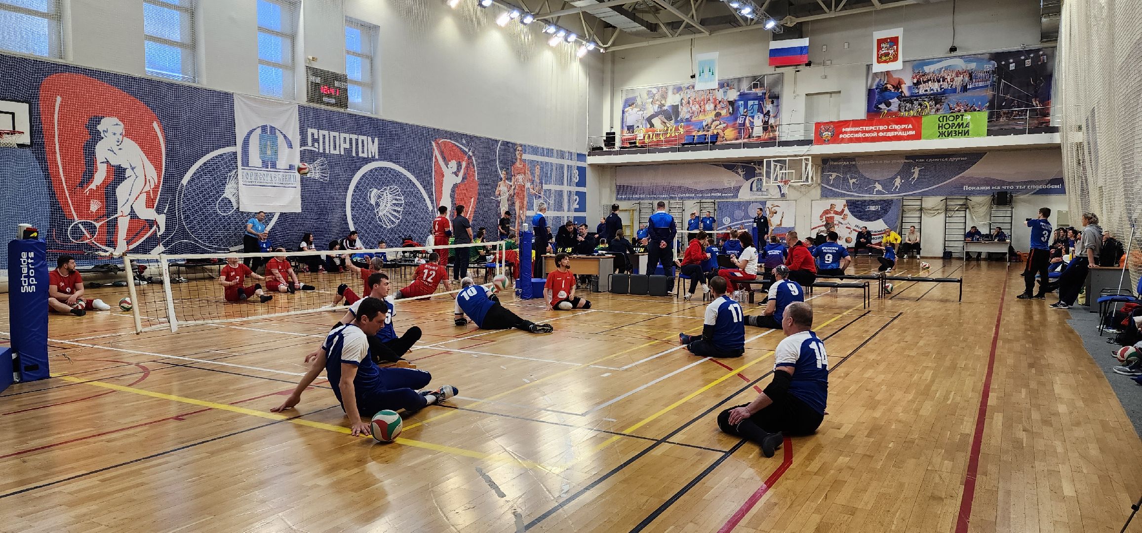 раменское, спорт, кубок России по волейболу сидя в спорткомплексе Борисоглебский,