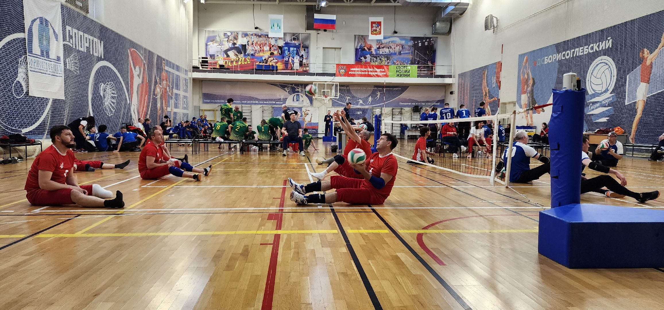 раменское, спорт, кубок России по волейболу сидя в спорткомплексе Борисоглебский,