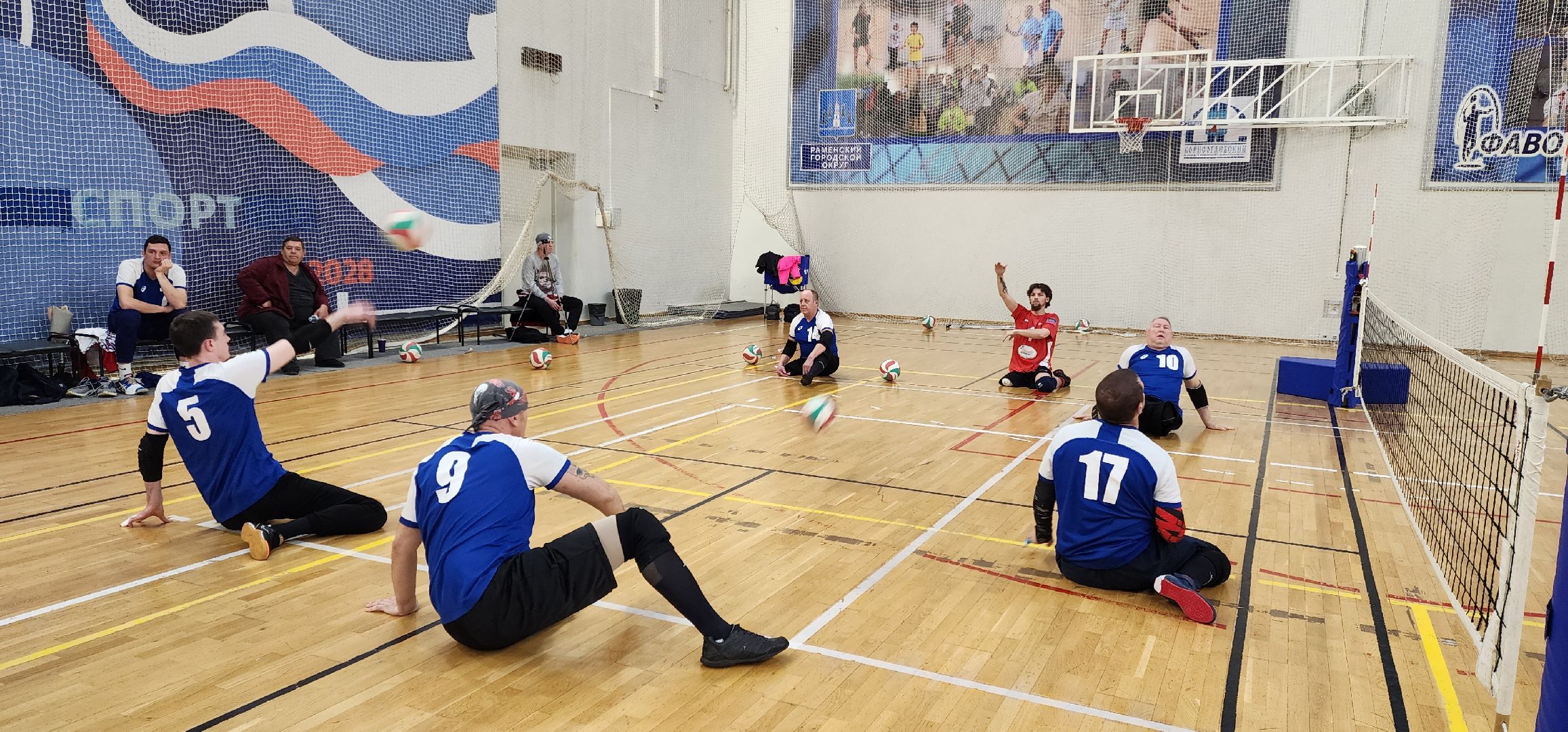 раменское, спорт, кубок России по волейболу сидя в спорткомплексе Борисоглебский,