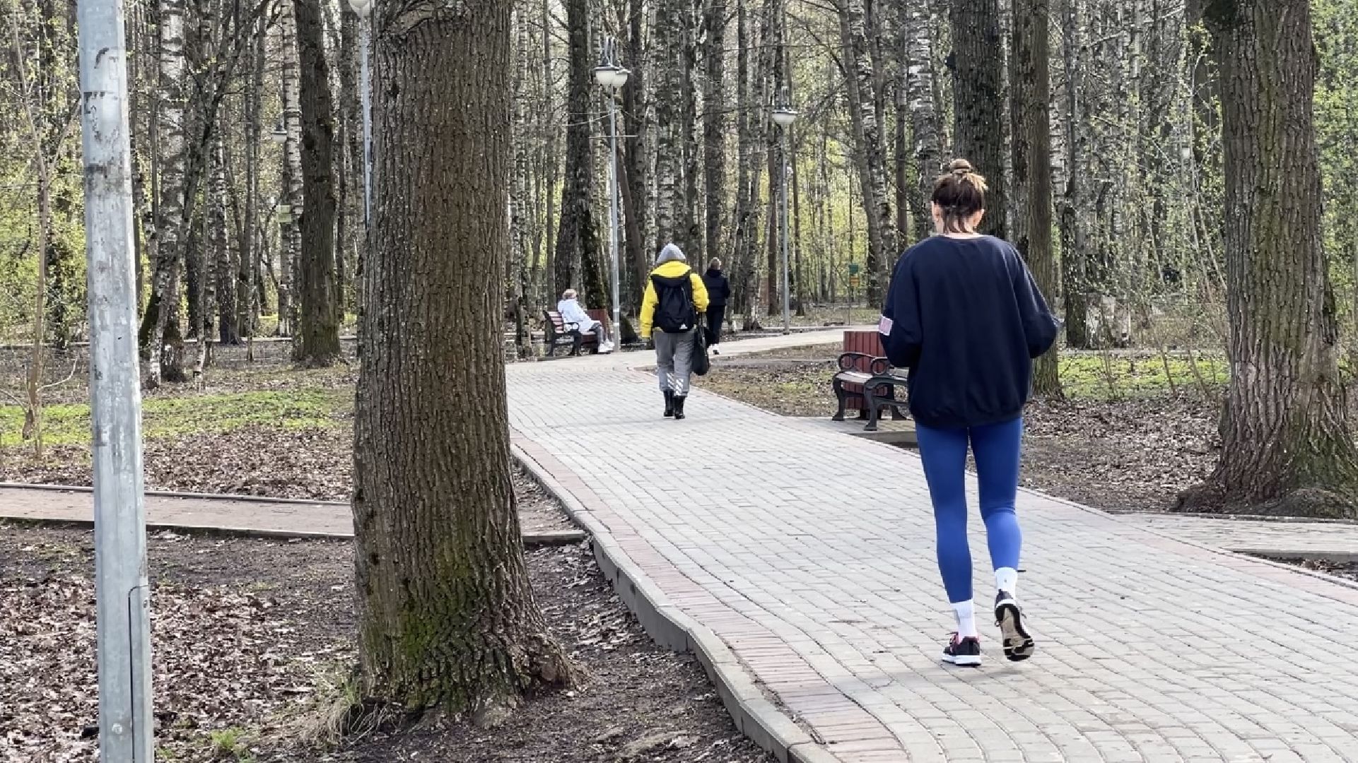 химки, спартакиада, спорт, спортивное ориентирование,