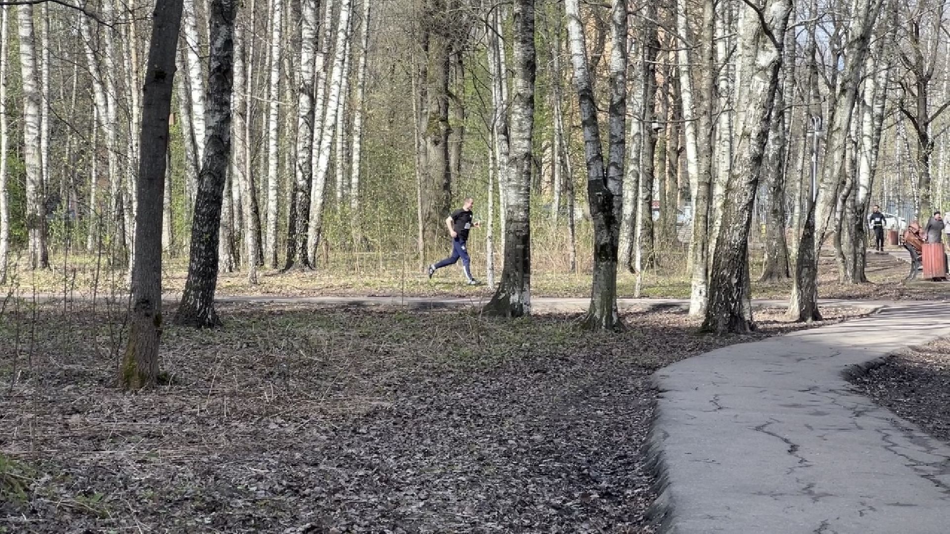 химки, спартакиада, спорт, спортивное ориентирование,