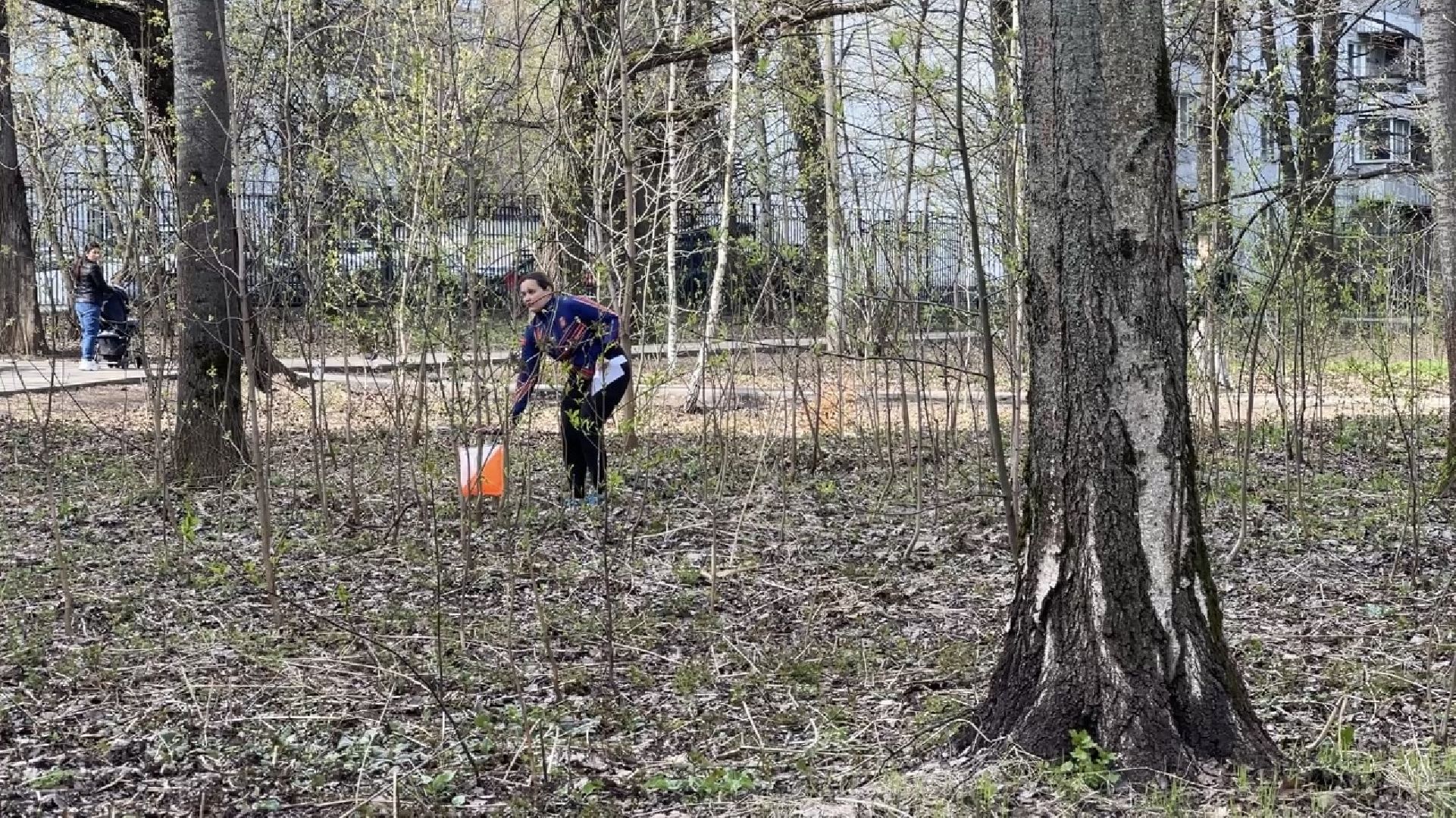 химки, спартакиада, спорт, спортивное ориентирование,