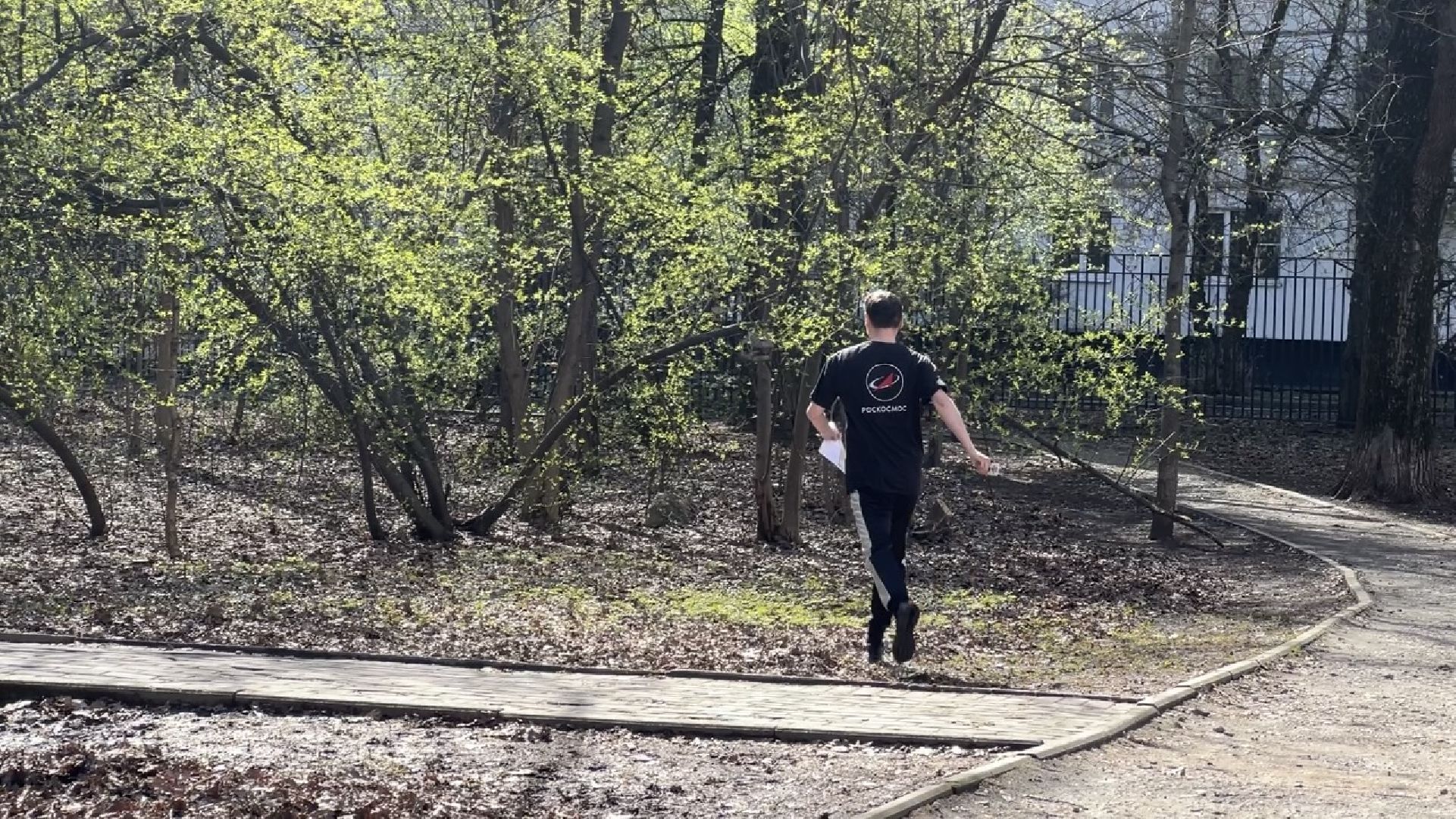 химки, спартакиада, спорт, спортивное ориентирование,