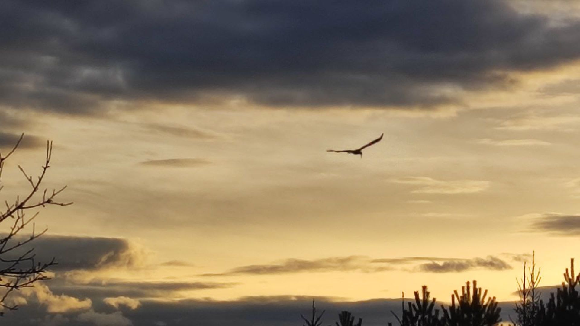 аисты, волоколамск, сельское хозяйство, год семьи, фермеры,