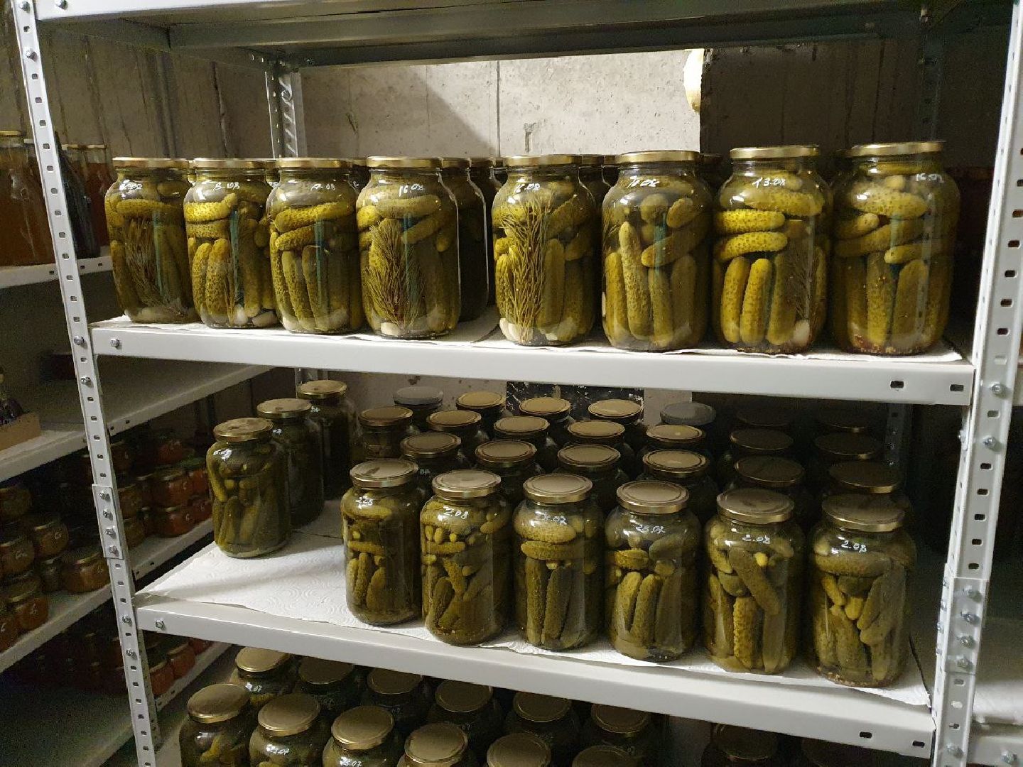 аисты, волоколамск, сельское хозяйство, год семьи, фермеры,