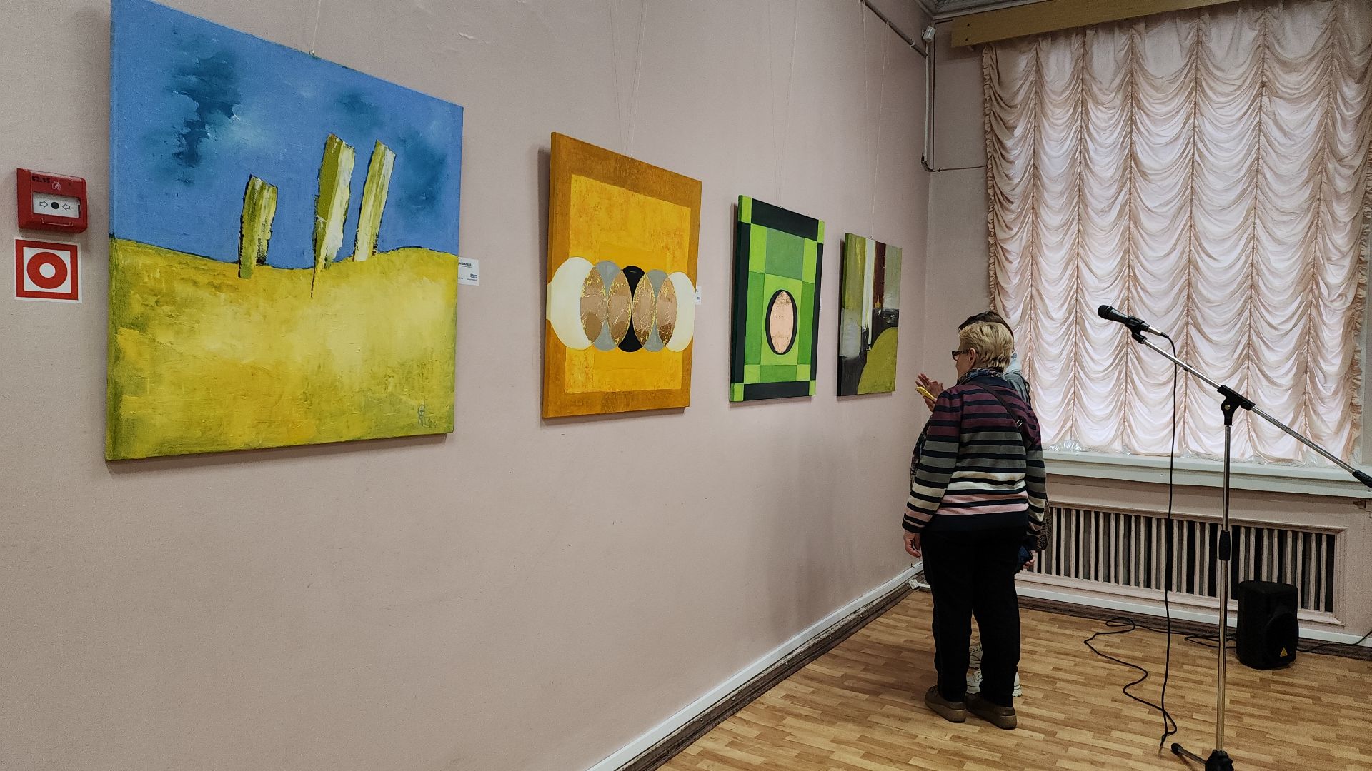 электросталь, культура, культура подмосковья, художник, художественная выставка, вернисаж, экспозиция, художники подмосковья, мой город,