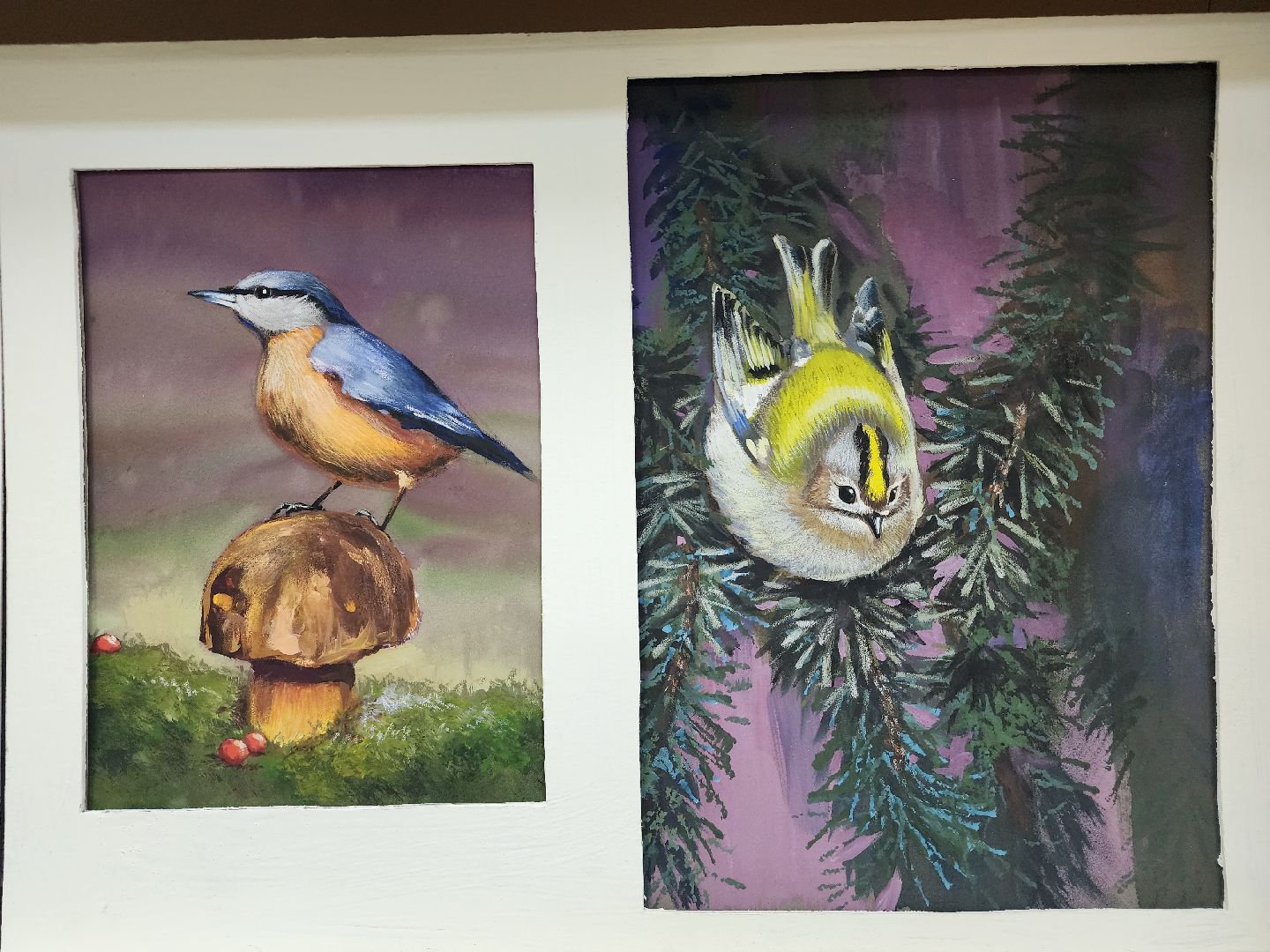 пушкино, экспозиция, экспонаты, мастер-класс, птицы, птицы подмосковья,