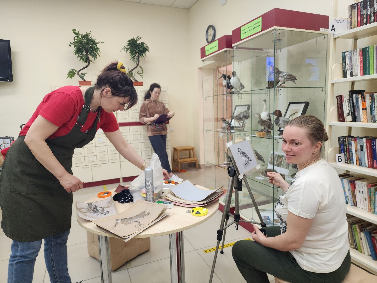 пушкино, экспозиция, экспонаты, мастер-класс, птицы, птицы подмосковья,