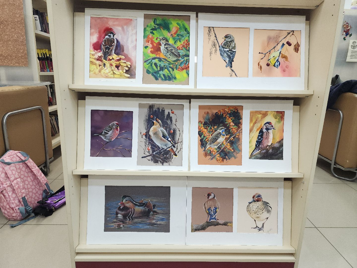 пушкино, экспозиция, экспонаты, мастер-класс, птицы, птицы подмосковья,