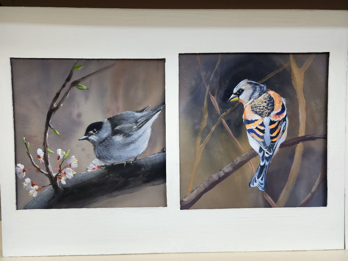 пушкино, экспозиция, экспонаты, мастер-класс, птицы, птицы подмосковья,