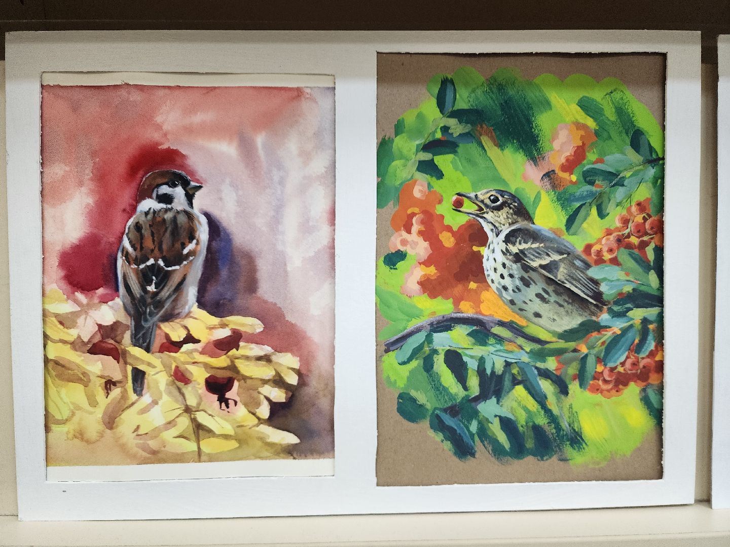 пушкино, экспозиция, экспонаты, мастер-класс, птицы, птицы подмосковья,