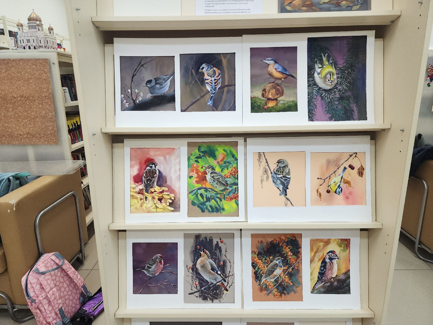 пушкино, экспозиция, экспонаты, мастер-класс, птицы, птицы подмосковья,