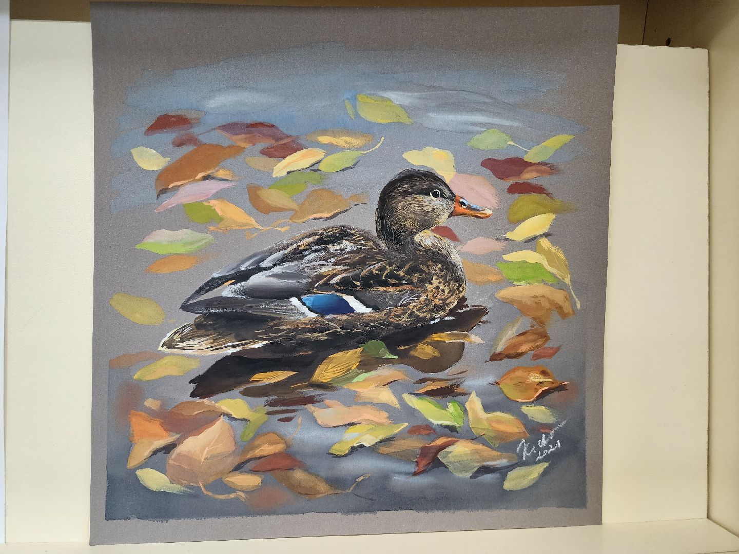 пушкино, экспозиция, экспонаты, мастер-класс, птицы, птицы подмосковья,