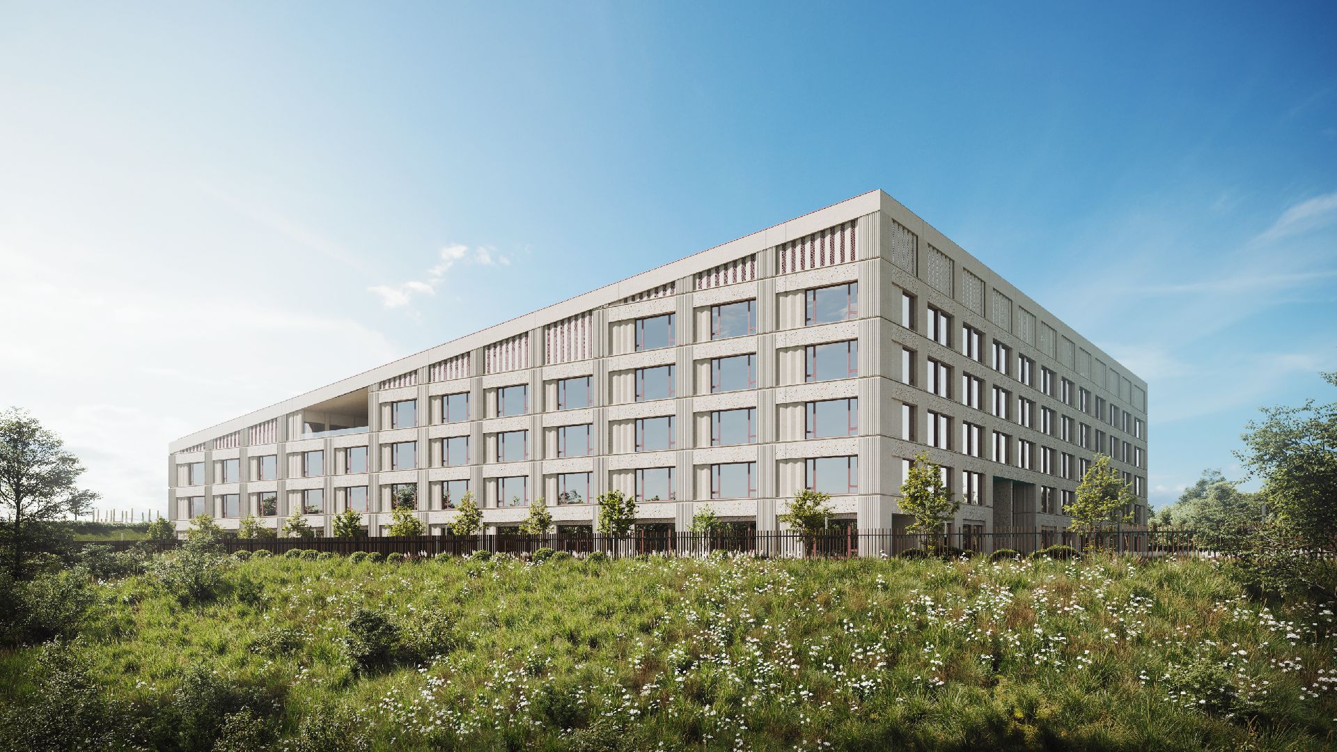 строителтство, строительство школы, школа будущего, Первый квартал, брусника,