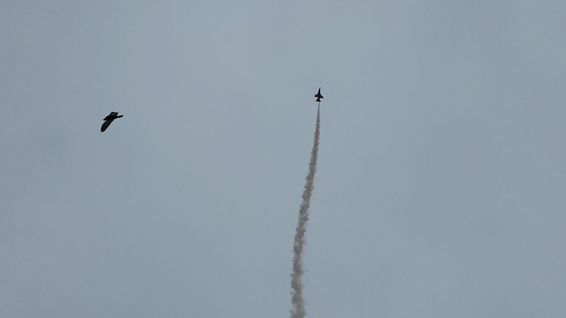 Анатолий Квочур, прощение, похороны, Пантеон защитников Отечества, Юрий Прохоров, Виктор Пугачев, Сергей Тресвятский, Олег Щепетков,