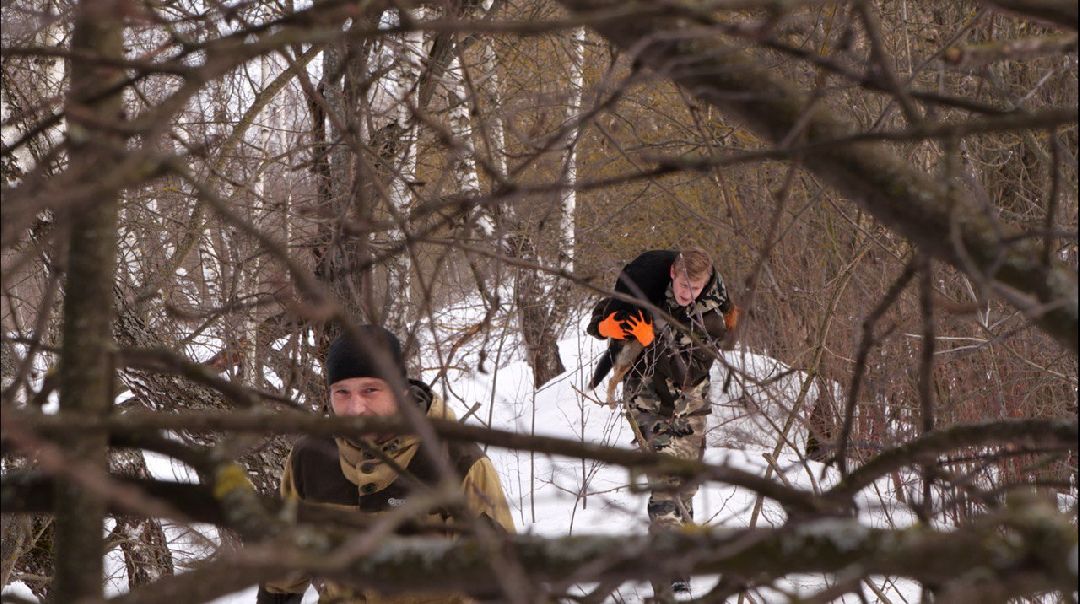 Подмосковье, Домодедово, стерилизация, отлов собак, стерилизация, вакцинация, чипирование,