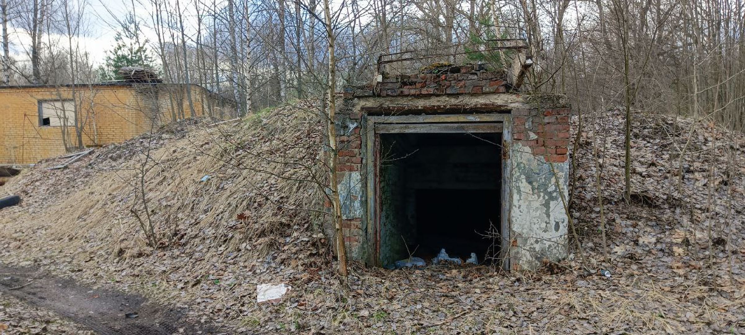 Дмитров, Ковригино,