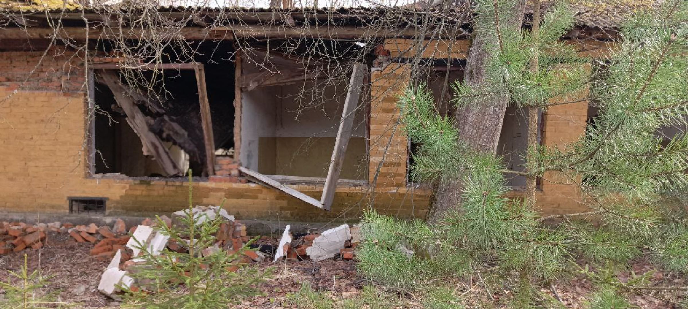 Дмитров, Ковригино,