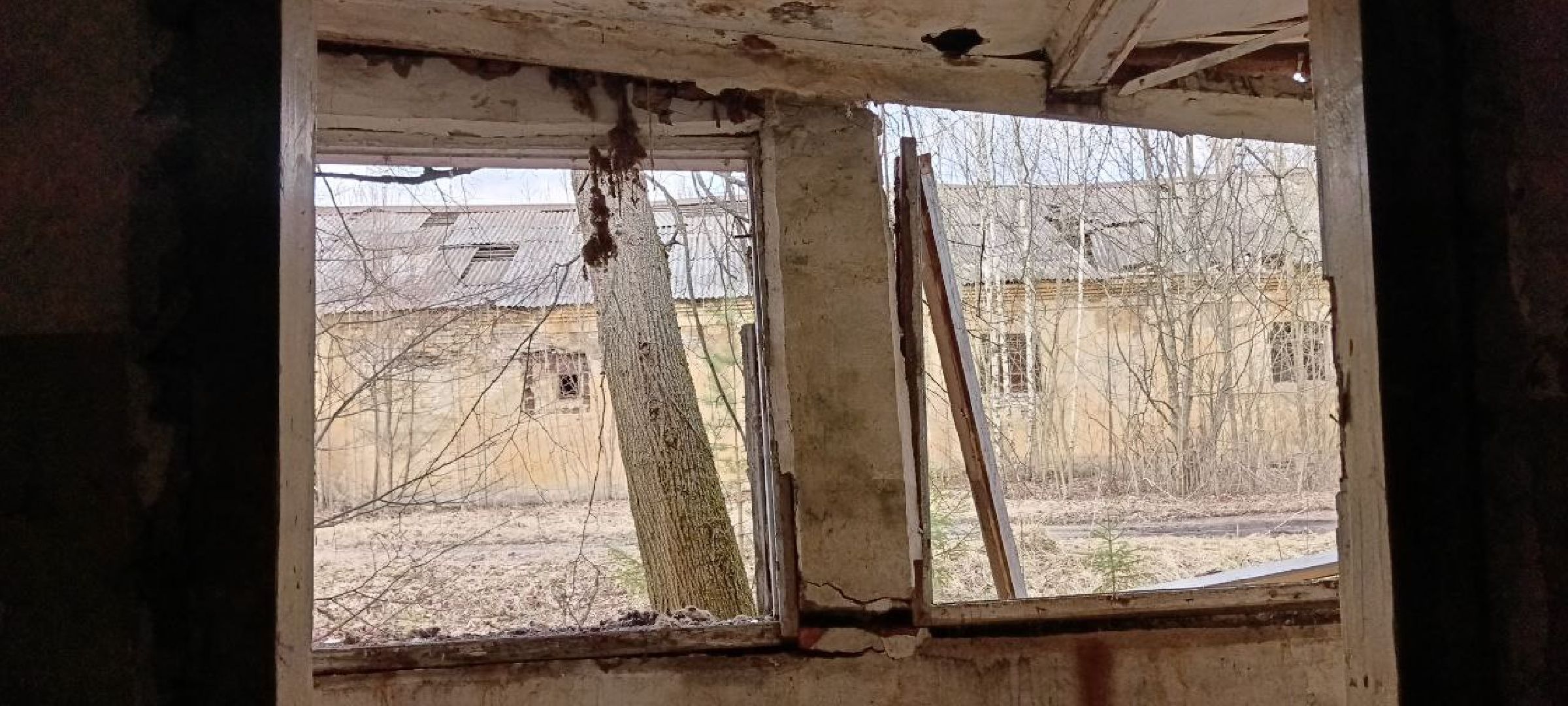 Дмитров, Ковригино,