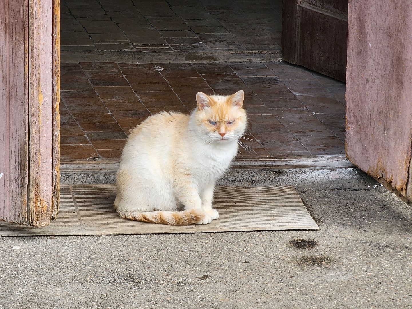 Ремонт, ремонт подъездов, тучково, руза, рузский городской округ, московская область, подмосковье,