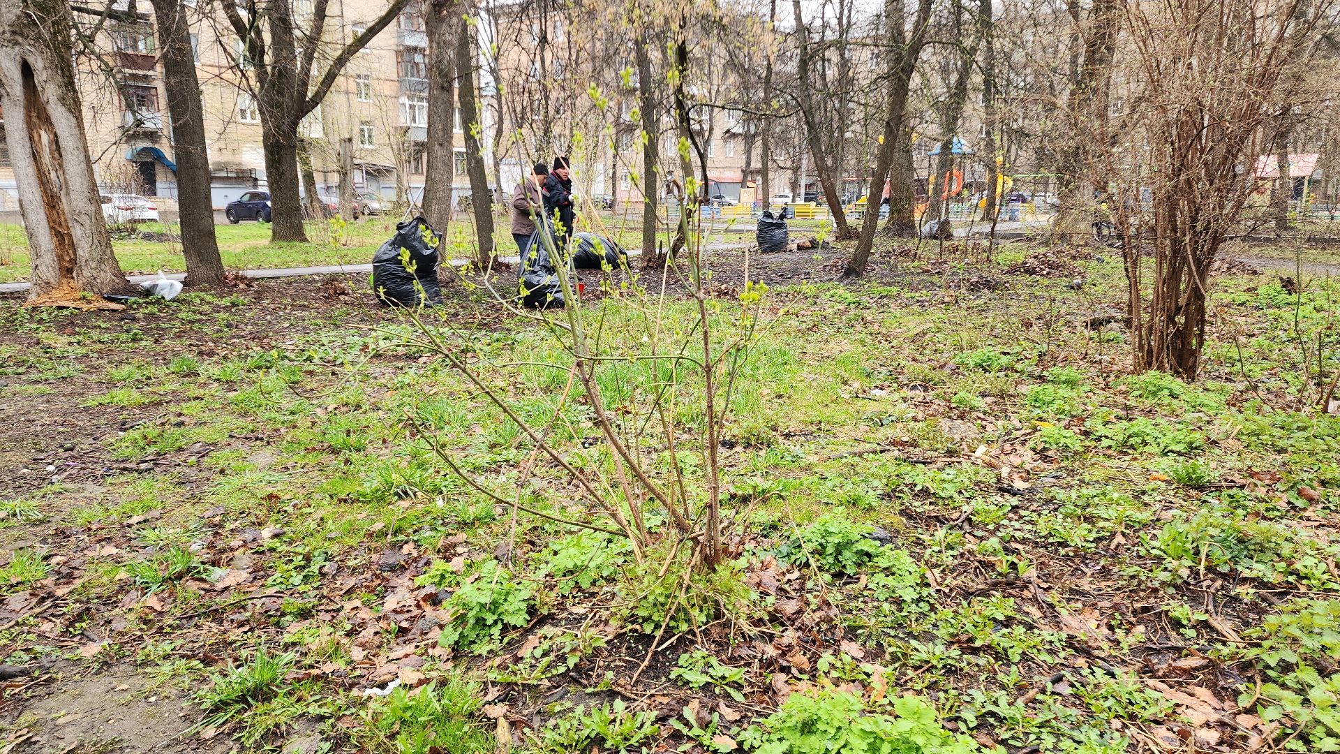 электросталь, мой город, уборка, уборка города, уборка дворов после зимы, уборка общественных территорий, жкх, жкх подмосковья,